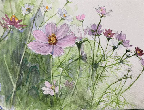 風よ運べ　コスモスのうた　世界へ＃３